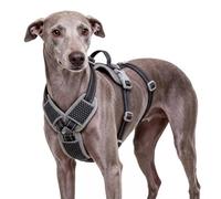 ThinkPet No-Escape Harnais anti-fugue pour lévriers et lévriers avec boucles en métal, poignée de levage, gilet réfléchissant, réglable, respirant, taille S, noir