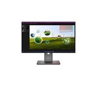 Lenovo ThinkVision P27Q-40 - LED-Monitor - 68.6 cm (27")