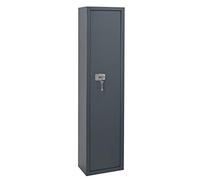 Thirard Armoire à fusils Brissac – Acier, 5 fusils, fermeture par clé, 4 pênes Ø18 mm Gris