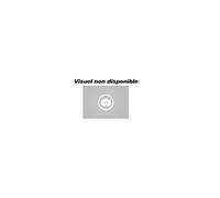 THIRARD - Boîtier de Serrure Encastrable à Cylindre pour Menuiserie Métallique - Axe 42 mm - Bouts Carrés - Inox - Coffre Acier Épaisseur 15 mm - Têtière Inox - Pêne Acier Nickelé - Gris