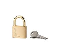 THIRARD - Cadenas à Clé Type 1-40mm en Laiton pour Extérieur avec Anse en Laiton - Mécanisme à Goupilles - Double Ancrage - 2 Clés en Acier Nickelé - Jaune/Doré