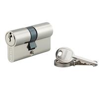 THIRARD - Cylindre de serrure double entrée SA, 25x30mm, anti-arrachement, nickel, 3 clés