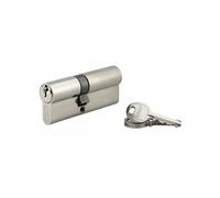 THIRARD - Cylindre à clé crantée 35 x 45 mm 3 clés avec vis de 45 mm nickelé