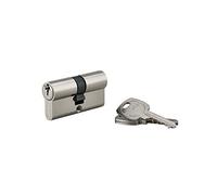 THIRARD - Cylindre de Sécurité STD - Laiton Nickelé - Mécanisme à 5 Goupilles - 30 x 30 mm - Gris - Protection Anti-Arrachement - Livré avec 3 Clés Crantées