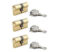 THIRARD Cylindre de Serrure Double Entrée, 30 x 30 mm, Laiton, Lot de 3