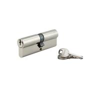 THIRARD - Cylindre de serrure double entrée SA, 45x45mm, anti-arrachement, nickel, vis 50mm 3 clés - THIRARD
