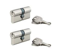 THIRARD - Cylindre de Serrure Double Entrée STD - Laiton Nickelé - Anti-Arrachement - Mécanisme à 5 Goupilles - 6 Clés Crantées Acier Nickelé - Lot de 2-30 x 30 mm - Gris
