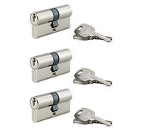 Lot de 3 cylindres de serrure Thirard STD double entrée 30x30mm 9 clés nickelé