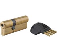 THIRARD Cylindre de Serrure Surveyor, Double Entrée, Laiton, 31 x 61 mm | Anti-arrachement, 4 clés fournies, finition laiton, mécanisme haute sécurité, compatible portes standard