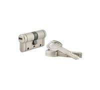 THIRARD - Cylindre de Serrure Double Entrée Federal S - Laiton - Pour Porte D'entrée - 8 Goupilles - Anti-Arrachement, Anti-Perçage, Anti-Crochetage, Anti-Casse, Anti-Snap - 30 x 30 mm - Gris