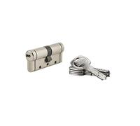 THIRARD - Cylindre de Serrure Trafic 12 - Laiton - Pour Porte D'entrée - 8 Goupilles - Anti-Arrachement, Anti-Perçage, Anti-Crochetage, Anti-Casse, Anti-Snap - 35 x 35 mm - Gris