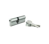 THIRARD Cylindre de Serrure Trafic 6 UNIKEY, 40 x 40 mm, Argent, 5 Clés