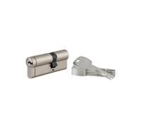 THIRARD Cylindre de Serrure Transit 1, 30 x 50 mm, Nickelé, 5 Clés Plates | Dimensions 30 x 50 mm, Finition nickelée, Usage porte d'entrée, 5 clés réversibles incluses, Fabrication française