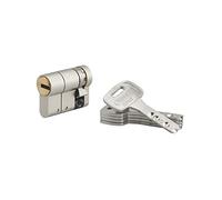 THIRARD - Demi-cylindre de serrure Federal S, 30x10mm, nickel, anti-arrachement, anti-perçage, 5 clés