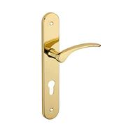 THIRARD - Ensemble de Poignées pour Porte d'Entrée Dionysos - Acier Embouti - Design Élégant - Trou de Cylindre - Entr'Axes 195 mm - Carré 7 mm - Finition Laitonnée - Jaune/Doré