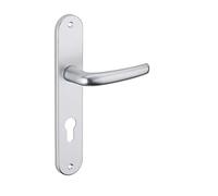 THIRARD - Ensemble de Poignées pour Porte d'Entrée Maia - Aluminium Anodisé - Trou de Cylindre - Carré 7 mm - Entr'Axes 195 mm - Esthétiques et Pratiques - Gris