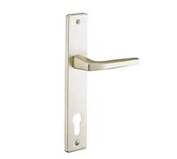 THIRARD - Ensemble de Poignées pour Porte d'Entrée Picardie - Aluminium - Pratique et Esthétique - Trou de Cylindre - Carré 8 mm - Entr'Axes 92 mm - Finition Champagne - Jaune/Doré