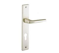 THIRARD - Ensemble de poignées pour porte d'entrée Picardie trou de cylindre, carré 8mm, entr'axes 195mm, couleur champagne