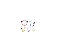 THIRARD - Lot de 10 Tendeurs à Crochet - Cordon en Caoutchouc de Latex - Crochets en Acier Double - Pour Rangement, Camping, Vélo, Remorque - Longueur 25 cm à 1 m - Couleurs Assorties