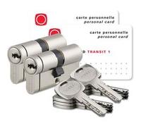 Thirard - Lot de 2 cylindres europeens 30x30 mm double entree barillet 8 cles pour serrure porte Transit 1 G