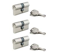 THIRARD - Lot de 3 cylindres de serrure double entrée STD, 30x30mm, s'entrouvrant, nickel,3 clés/cylindre - THIRARD