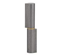 THIRARD - Paumelle de Porte d'Entrée et d'Intérieur à Souder - Acier Zingué - Bague Laiton - Fixation avec Trous - Usage Pratique - Design Élégant - H.100 mm - Gris