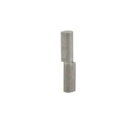 THIRARD - Paumelle de Porte d'Entrée et d'Intérieur à Souder - Inox - Acier - Bague Laiton - Facile à Installer - Fixation avec Trous - 16 x 20 x 100 mm - Gris
