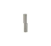 THIRARD - Paumelle de Porte d'Entrée et d'Intérieur à Souder - Inox - Acier Zingué - Bague Laiton - Installation Facile - Fixation 3-4 Trous - 13 x 16 x 80 mm - Gris
