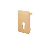 THIRARD - Plaque de renfort cylindre profilé pour verrou Capital, fixation par vis, époxy bronze - THIRARD