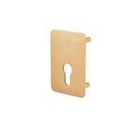 THIRARD - Plaque de renfort cylindre profilé pour verrou Capital, fixation par vis, époxy bronze - THIRARD