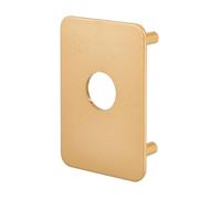 THIRARD Plaque de Renfort pour Verrou, Fixation Par Vis, Finition Epoxy Or, Acier Robuste, Compatible avec Verrou Capital Et Transit 2, Design Élégant, Couleur Or