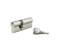 Cylindre de Serrure Double Entrée, 30x50 mm, Anti-Arrachement, Nickel, Vis 40 mm, 3 Clés, Profil Européen, Alliage, Mécanisme à 5 Goupilles, Panneton Anti Arrachement, THIRARD