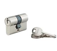 THIRARD, SA, Cylindre de serrure double entrée, 21 x 21 mm, Nickel, 3 clés | Protection anti-arrachement, finition nickelée, mécanisme à goupilles, compatible portes intérieures et extérieures