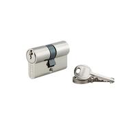 THIRARD, SA, Cylindre de serrure double entrée, 25 x 25 mm, Nickel, 3 clés | Protection anti-arrachement, finition nickelée, mécanisme à goupilles, compatible portes intérieures et extérieures