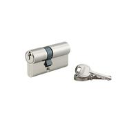 THIRARD, SA, Cylindre de serrure double entrée, 25 x 40 mm, Nickel, 3 clés | Protection anti-arrachement, finition nickelée, mécanisme à goupilles, compatible portes intérieures et extérieures