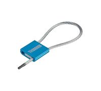 THIRARD - Scellé Métallique - Sachet de 25 Pièces - Corps en Aluminium - Câble Acier Zingué - Fermeture Sécurisée - Détachable Facilement - Conforme à la Norme ISO 17712-1.8 x 125 mm