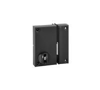 THIRARD Serrure Verticale en Applique Double Entrée, Droite, Axe 45 mm | Pour Porte de Cave, 75x130 mm, Pêne Seul, Entraxe 110 mm, Boîtier Seul, Cylindre Non Fourni, 1 Point de Fermeture, Acier