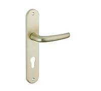 Thirard SERRURERIE DE PICARDIE - Ensemble de Poignées pour Porte d'Entrée Maia - Aluminium - Trou de Cylindre - Design Esthétique - Carré 7 mm - Entr'Axes 195 mm - F2 Champagne