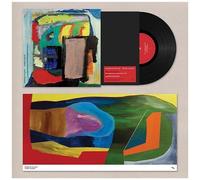 Third Album - Édition Lp 180gr. + Reproduction D'art Au Format 12 "X24" - Vinyle 33t