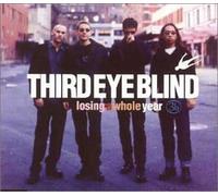 Third Eye Blind - Losing a Whole Year