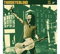 Third Eye Blind - Out of The Vein