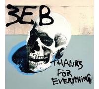 Third Eye Blind - Thanks For Everything [Vinyl Lp]