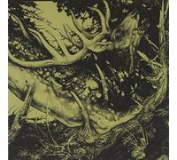 Third Eye Foundation - Dark [Import]