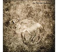 Third Eye Foundation - Semetex [Import]