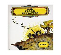 Thirteenth Floor Elevator - Live