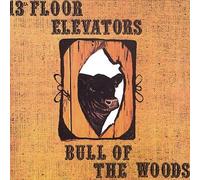 Thirteenth Floor Elevators - Bull of Use Cdgr113 [Import]