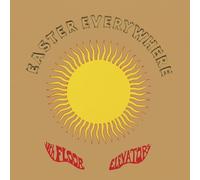 THIRTEENTH FLOOR ELEVATORS - EASTER EVERYWHERE 2 VINYL LP NEUF