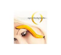 A Perfect Circle – Thirteenth Step – CD – Import US