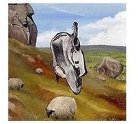 English Teacher – This Could Be Texas – CD