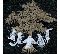 This Is How We Dance